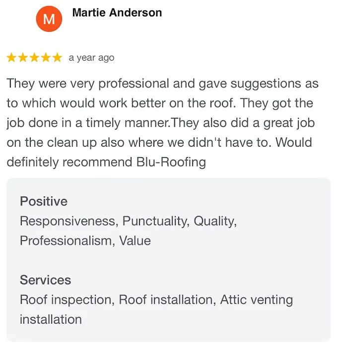 Blu-Roofing Picture 4