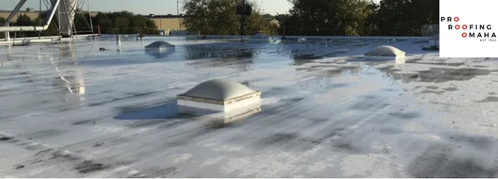 Professional Roofing Omaha Picture 3