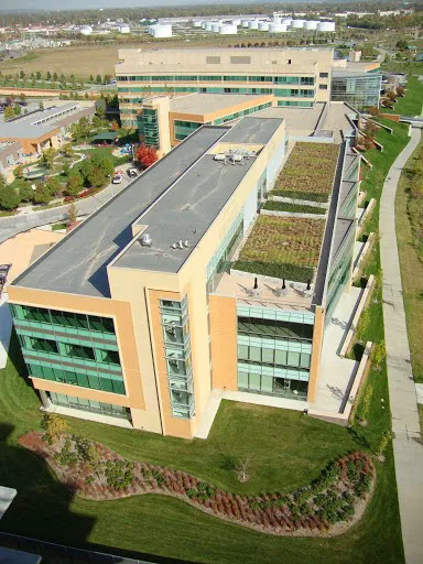 Boone Brothers Roofing Picture 3