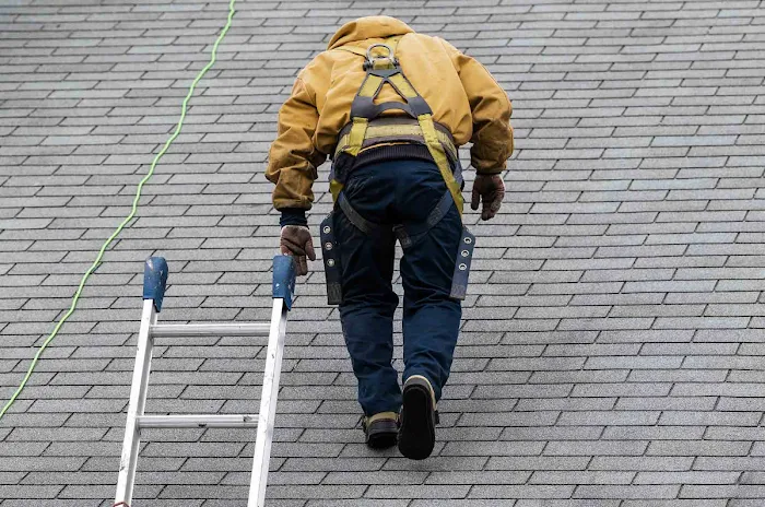 Jensen Enterprises Picture 7