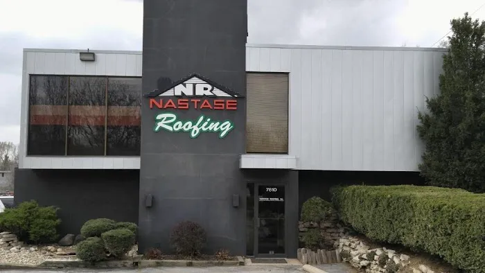 Nastase Roofing Picture 1