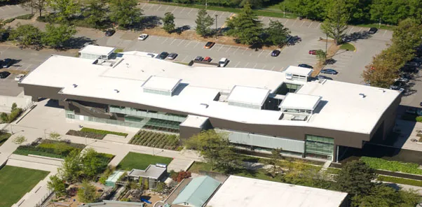 Nastase Roofing Picture 8