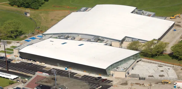 Nastase Roofing Picture 5