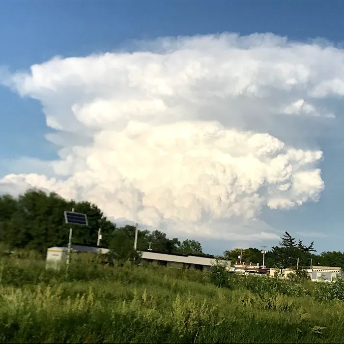 Pacific Roofing Picture 5