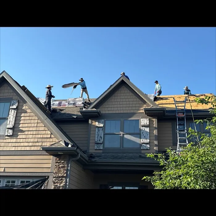 Pacific Roofing Picture 7