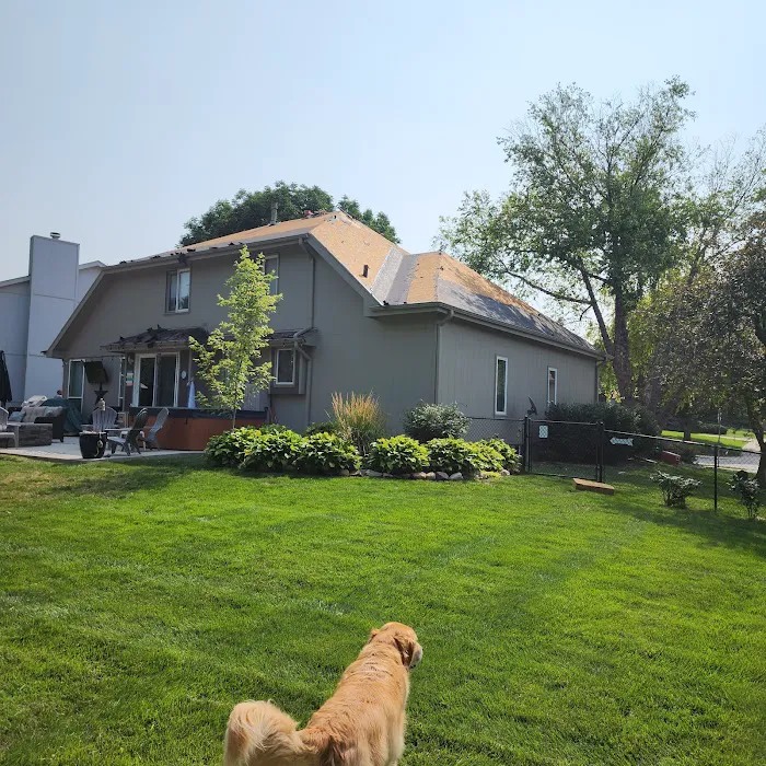 All or Nothing Roofing Picture 5