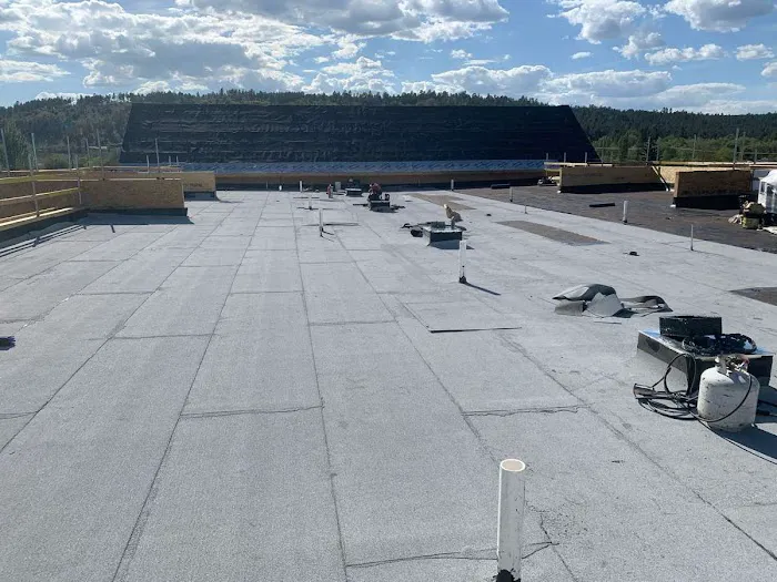 All or Nothing Roofing Picture 7