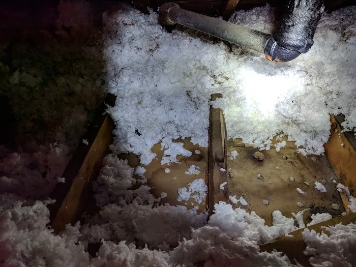 Above & Beyond Roofing Picture 2