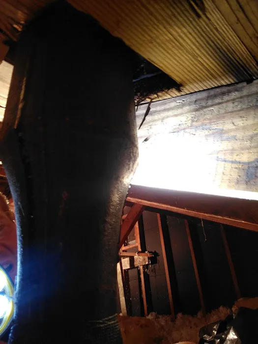 Above & Beyond Roofing Picture 1