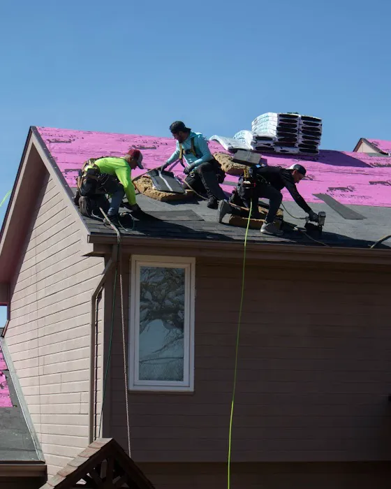 Moose Roofing Picture 9