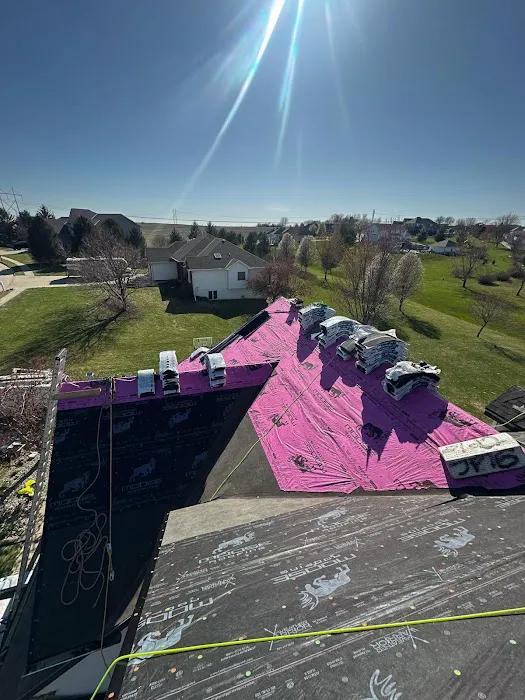 Moose Roofing Picture 2