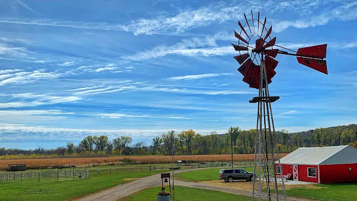 Schram Roofing Picture 3