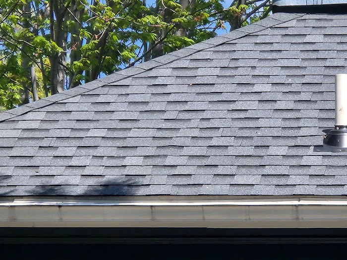 Experience Roofing Design Picture 8