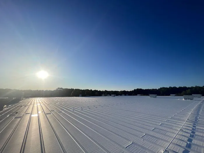 Clevercoat Renewable Roofing Picture 1