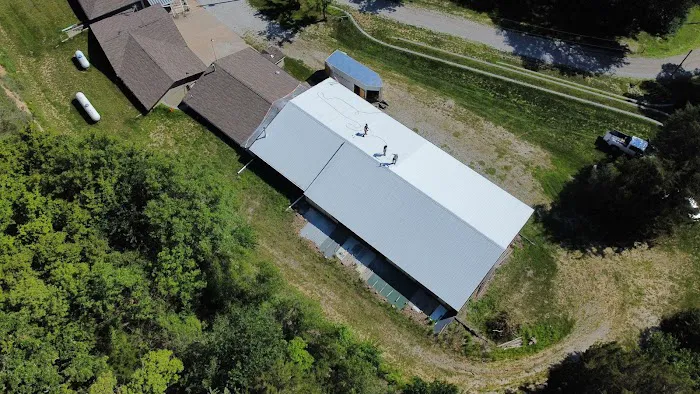 Clevercoat Renewable Roofing Picture 2