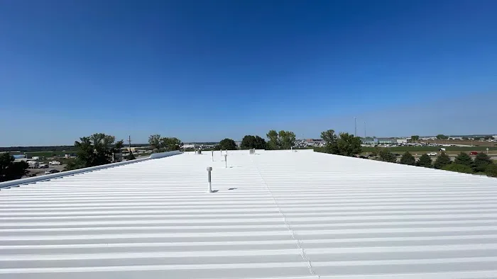 Clevercoat Renewable Roofing Picture 3