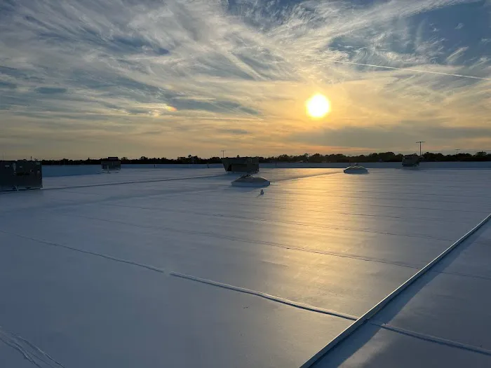 Clevercoat Renewable Roofing Picture 8