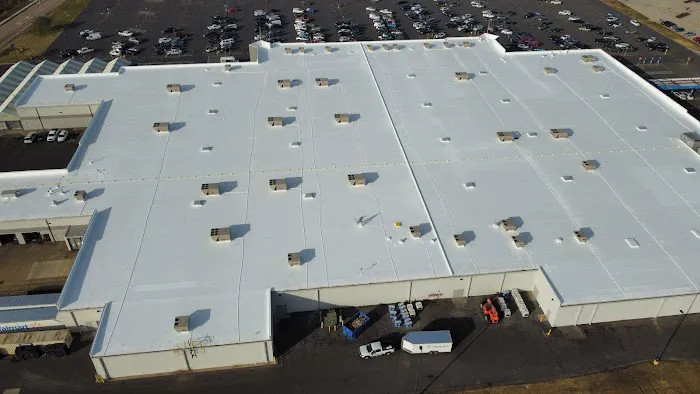 Clevercoat Renewable Roofing Picture 4