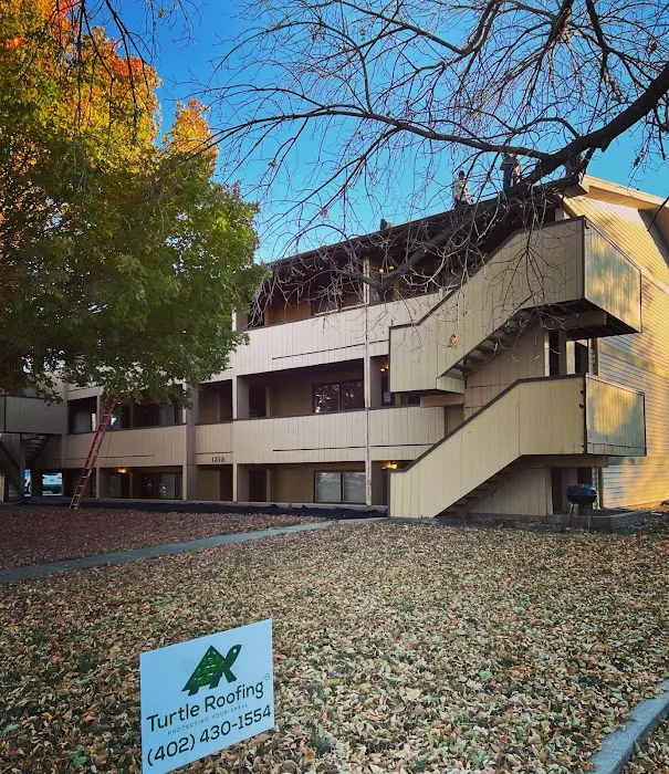 Turtle Roofing Picture 8