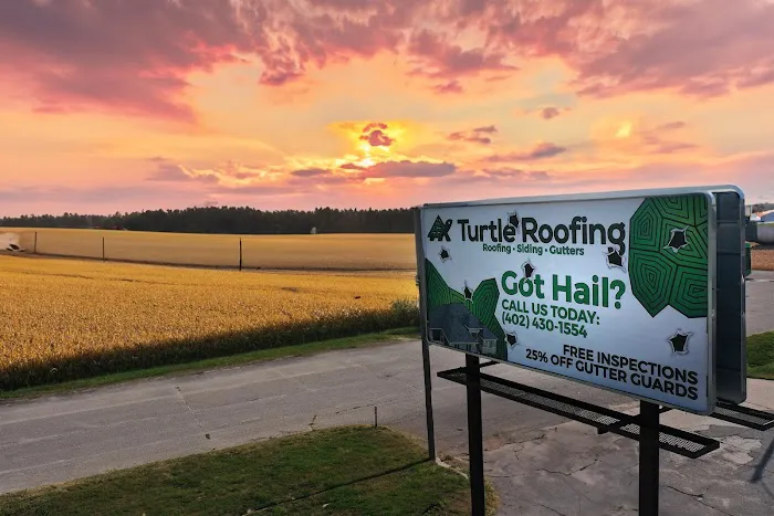 Turtle Roofing Picture 6