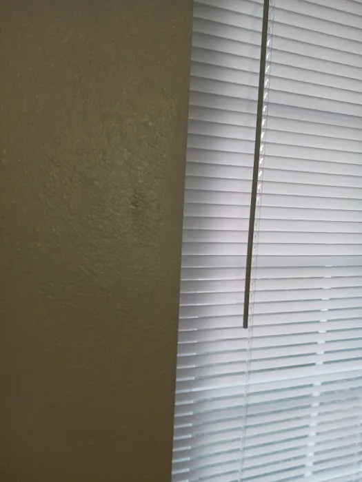 Nexterior Construction Picture 1