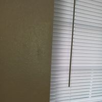 Nexterior Construction ico