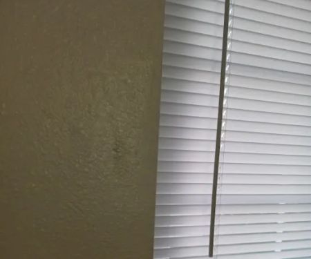 Nexterior Construction