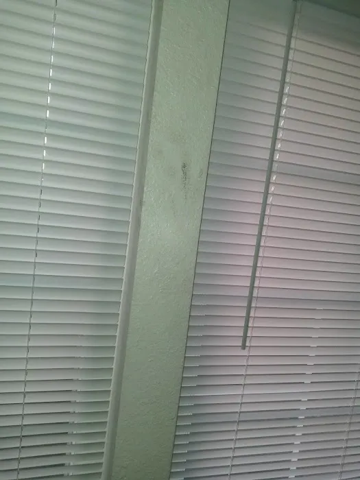 Nexterior Construction Picture 3