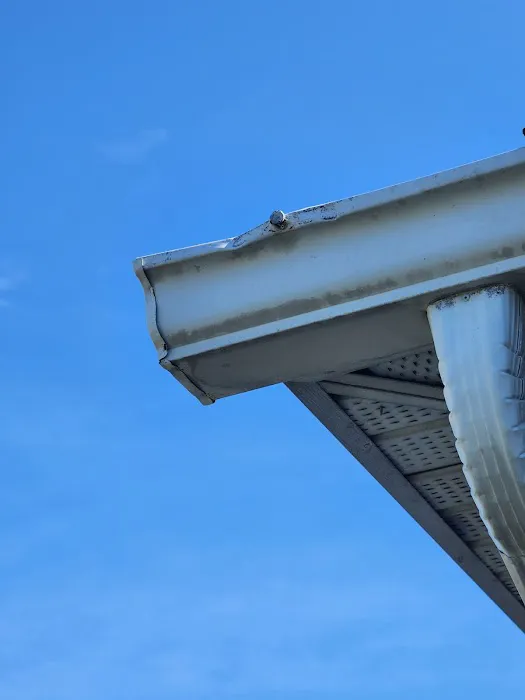 Apple Roofing Picture 1