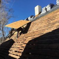 Divine Roofing, Inc. ico