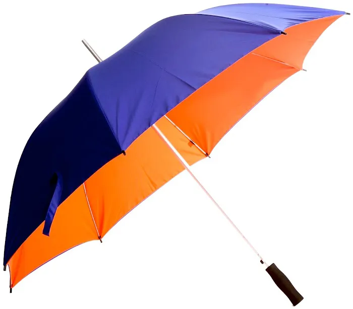 DreamHome Restoration Picture 1