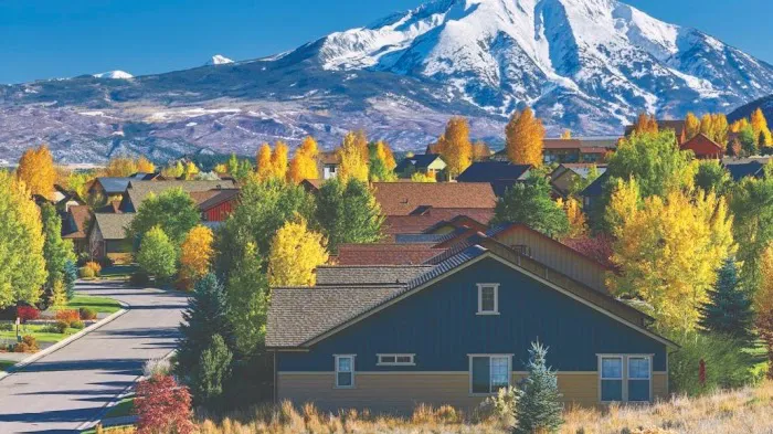 Tectum Roofing Picture 7