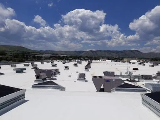 Tectum Roofing Picture 6