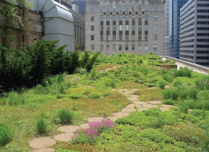 Tectum Roofing Picture 9