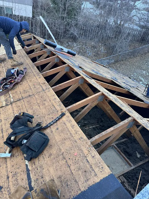 T & L Roofing Experts LLC Picture 7