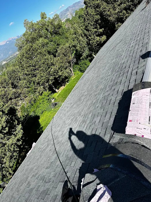 Wiseman Roofing Picture 2