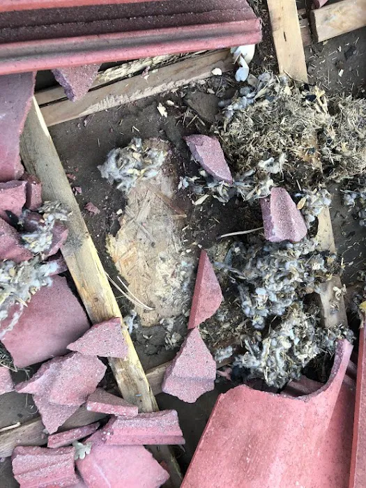 Rocky Top Roofing & Construction Picture 7