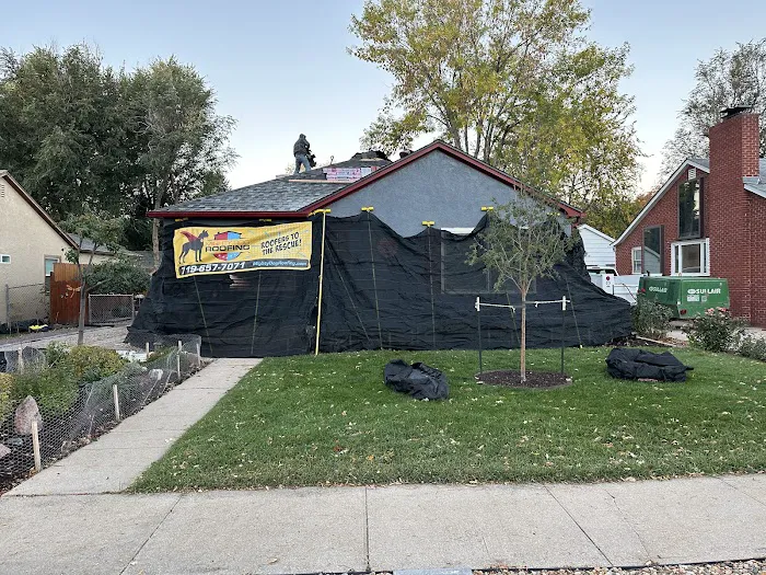 Mighty Dog Roofing of Colorado Springs Picture 8