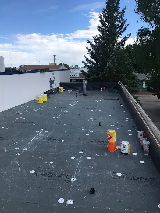 Cricket Roofing Picture 1