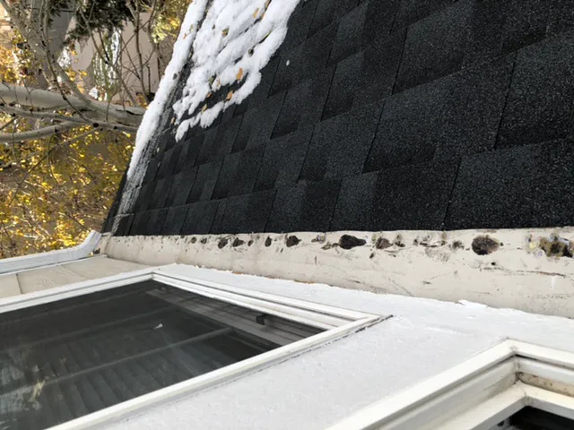 Peak View Roofing Picture 1