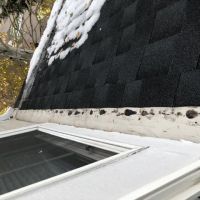 Peak View Roofing ico