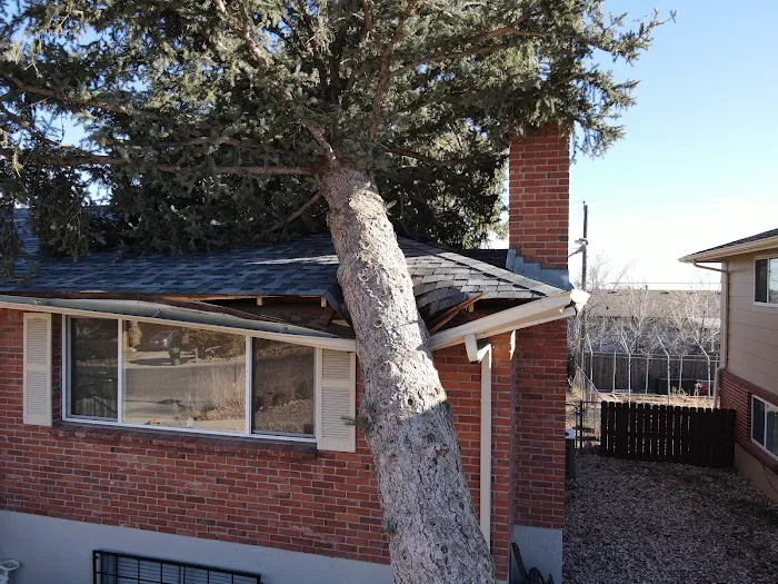 Drone AI LLC Picture 5