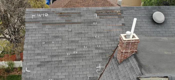 Drone AI LLC Picture 8