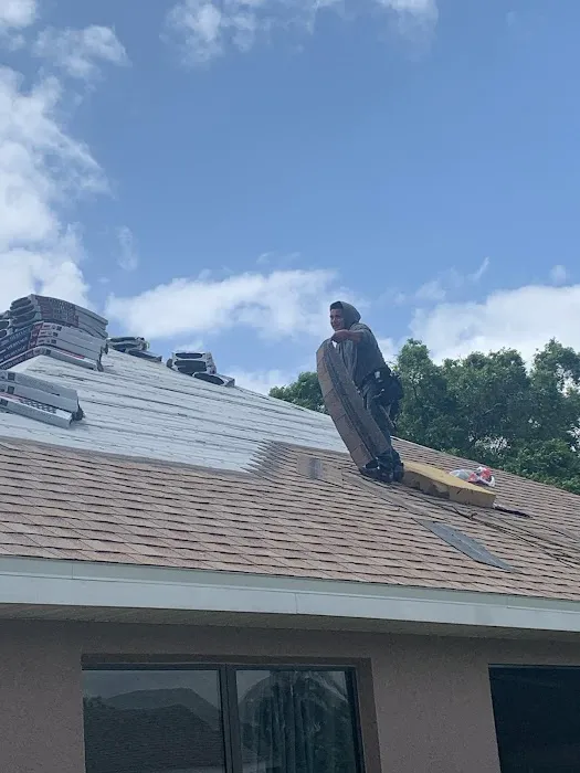 RD Roofer & Commercial Roofing Picture 5