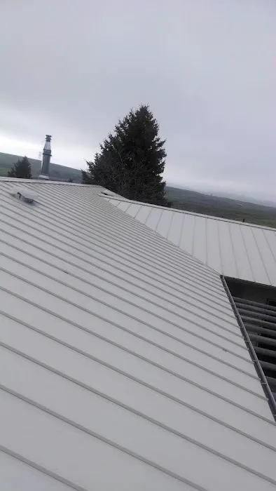 Triton Roofing Picture 8