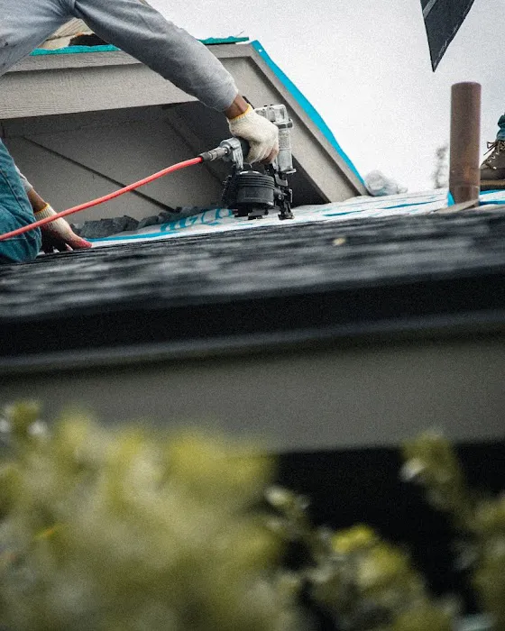 Salazar Roofing Picture 3