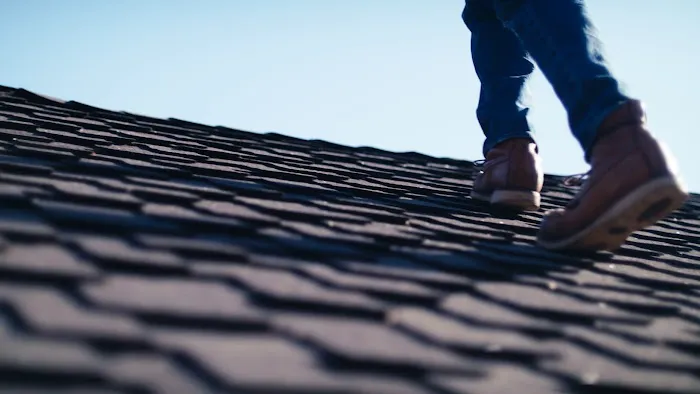 Salazar Roofing Picture 4