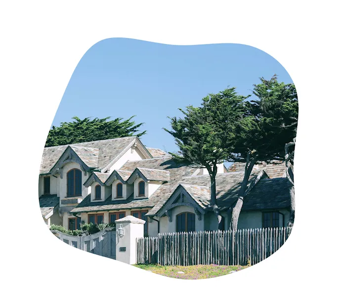 Hernandez & Sons Roof Repair Picture 1