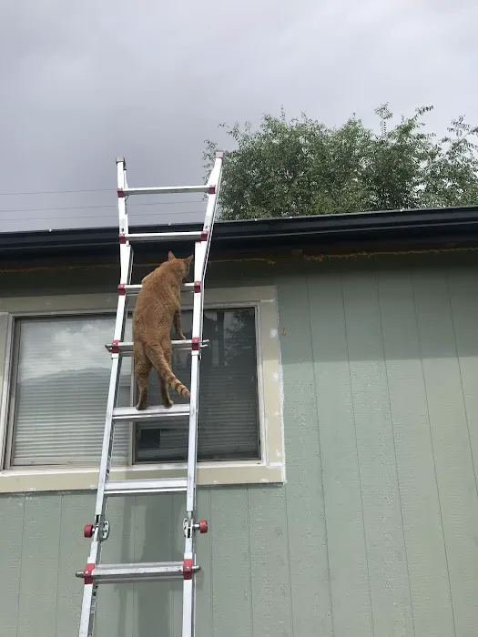 Paskos High-Caliber Service Picture 2