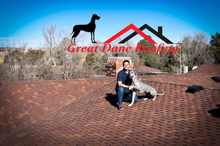 Great Dane Roofing Picture 2